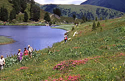 Wanderung um den Wildebensee